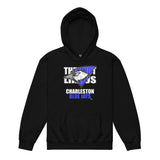They Not Like Us - Charleston Blue Jays - Centered - Black Hoodie - Youth